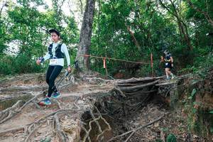 BIB: 
                            <button type="button" onclick="openModal(27722641)" class="btn btn-primary btn-sm float-right btn-popup" data-toggle="modal" data-target=".modal-high-quality">
                        <i class="fas fa-shopping-cart"></i> Add to Cart
                    </button>
                                            <button type="button" onclick="isThisMe(27722641, true)" class="btn btn-success btn-sm float-right btn-popup btn-isme hidden" data-toggle="tooltip" data-placement="bottom" title="นี่คือรูปของคุณใช่ไหม คลิกที่นี่เพื่อเอาเข้าอัลบั้ม">
                        <i class="fas fa-plus"></i> Add to album
                    </button>
                    <button type="button" onclick="isThisMe(27722641, false)" class="btn btn-warning btn-sm float-right btn-popup btn-isnotme hidden">
                        <i class="fas fa-ban"></i> Remove from album
                    </button>